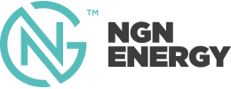 ngn logo